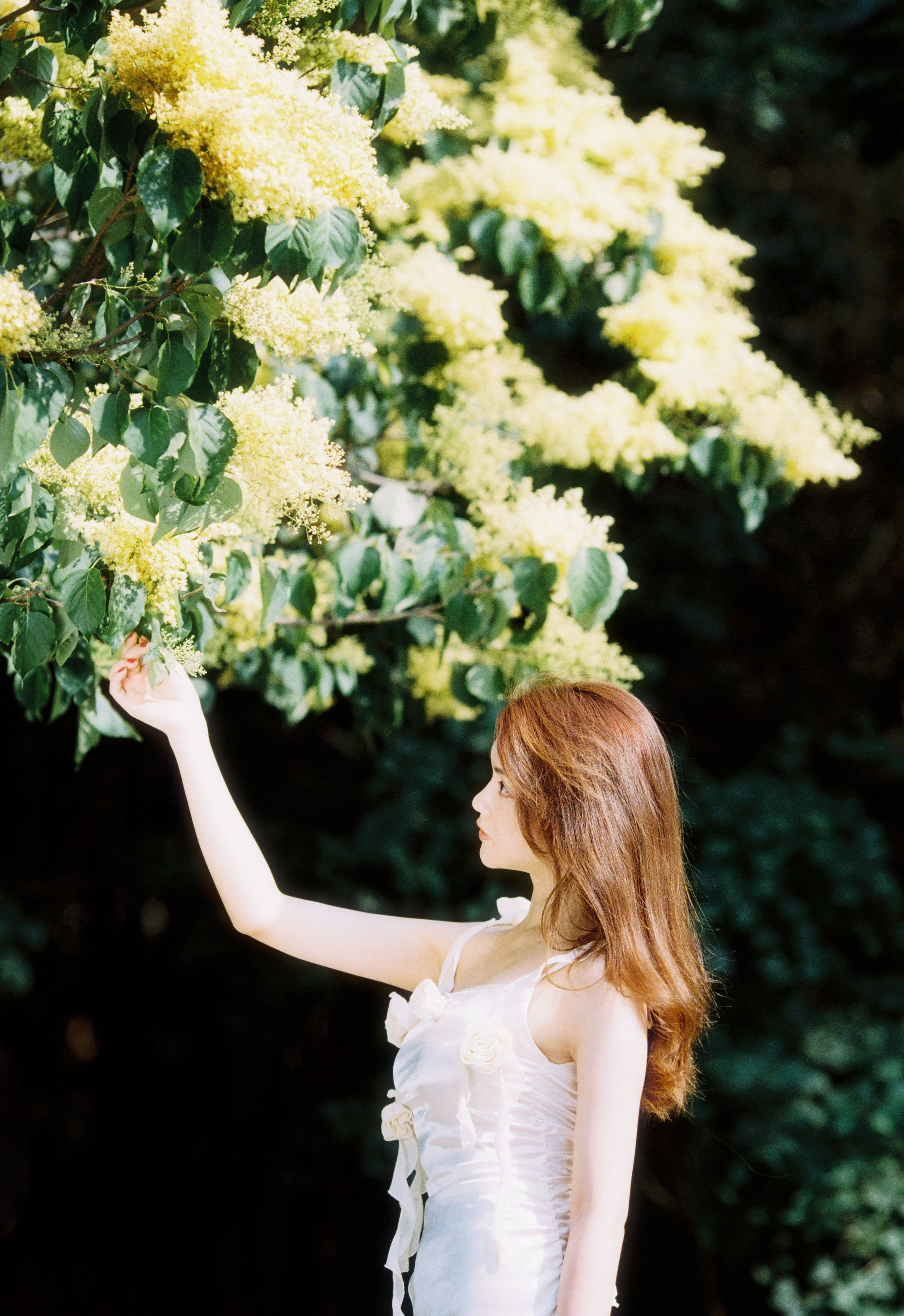 赖婧春日氛围写真 玫瑰飘带连衣裙唯美浪漫