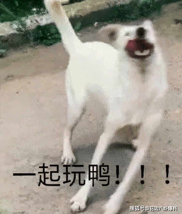 原本黑衣阿赞选中的是蝶衣,但蝶衣当时佩戴着白龙王的防护符咒,黑衣