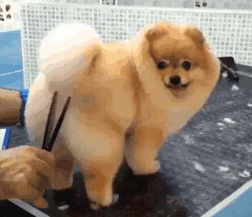 f5f4f65e7dd845bea416cf0a8c7f0a57.jpeg