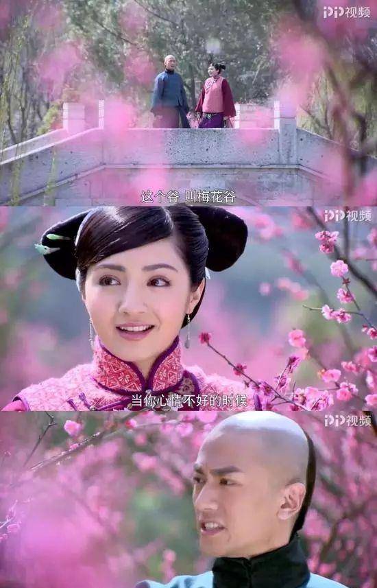 90后毁童年电视剧合集_梅花谷