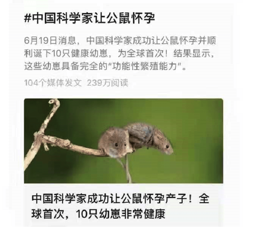 全球首次 实验公鼠成功怀孕生子 男人生孩子还远吗 移植