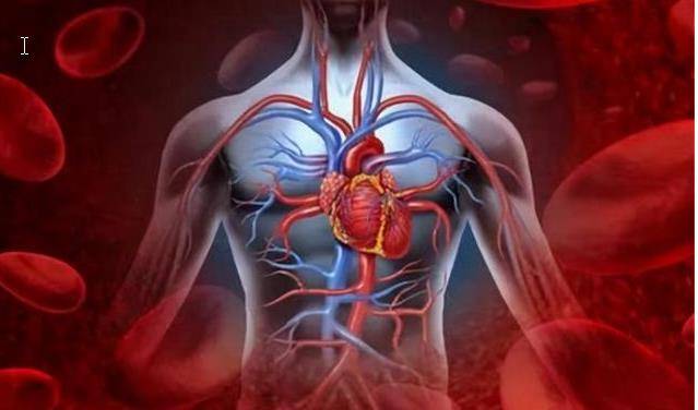 原创甘油三酯和胆固醇都是高血脂,有什么区别?如何降低?