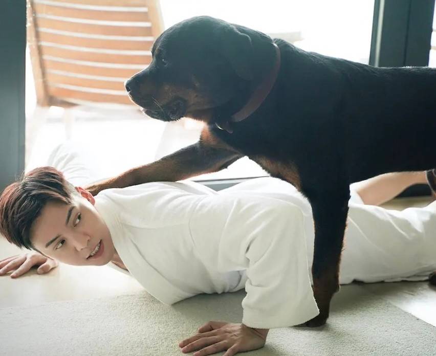 35岁陈伟霆太会撩了躺在床上秀8块腹肌网友看完精神一整天