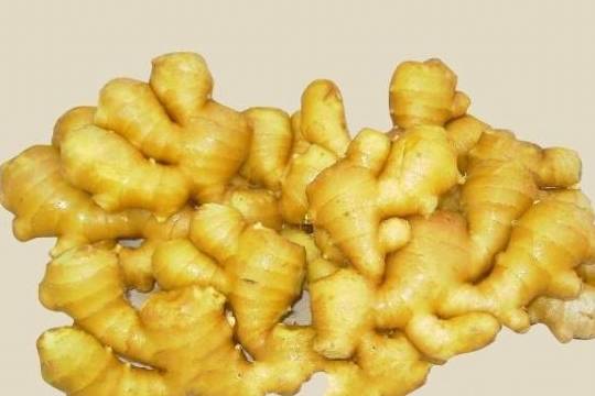 怎么吃生姜不上火 f5870c84dcb74a6a8b1764c4bdb773c5.jpeg