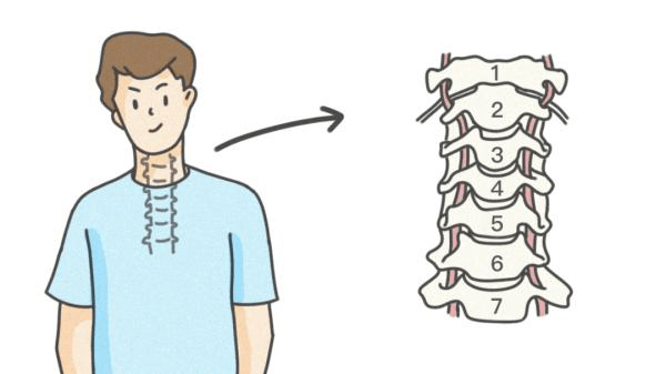 双手|你知道吗？每个人的身体都住着7个“葫芦娃”