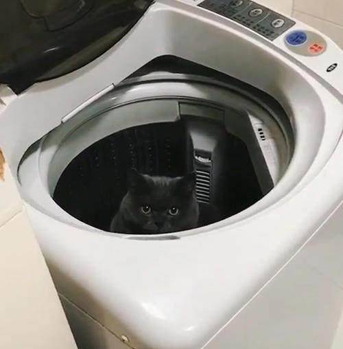 794d8bb23e9449558836fa11e1b22fa2.jpeg