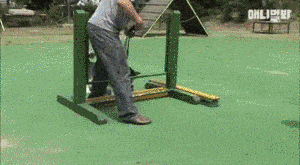 因为|帅气哈士奇“相亲”却屡屡失败, 主人说大概这是一只“哈士基”