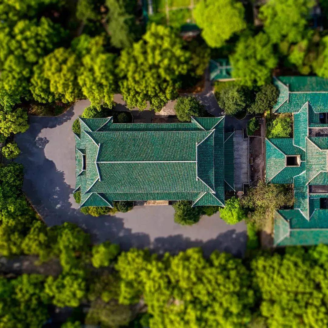 寓行千里合纵连横长沙蝴蝶翅膀扇动后的无限放大