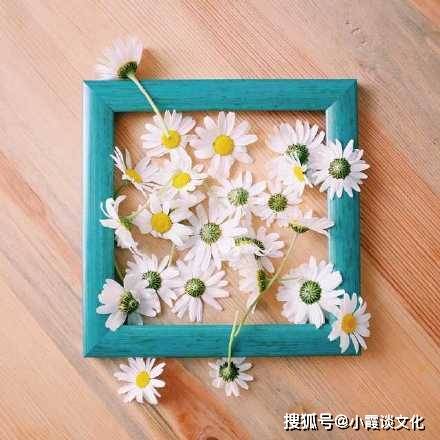 人生遗憾与惊喜_内涵段子很火的语句_人生哲理感悟