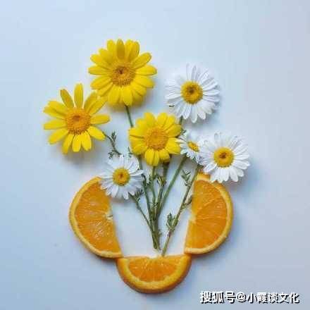 人生遗憾与惊喜_人生哲理感悟_内涵段子很火的语句