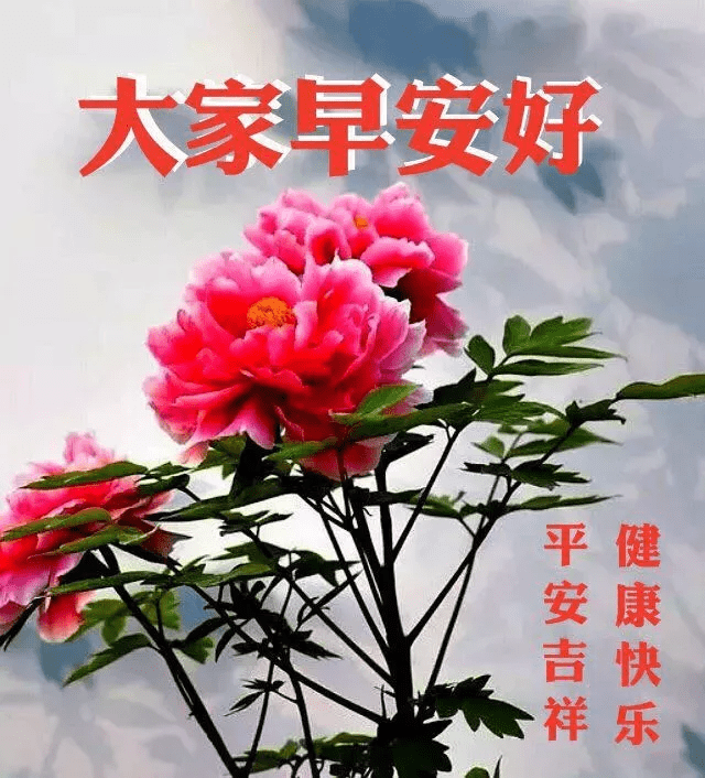 原創最美早上好的問候語圖片大全新版早上好祝福句子表情