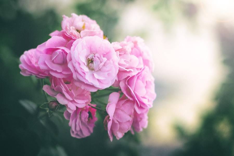 7月运势最好的3个星座 射手座工作更加轻松 摩羯座感情越发浓厚 发展