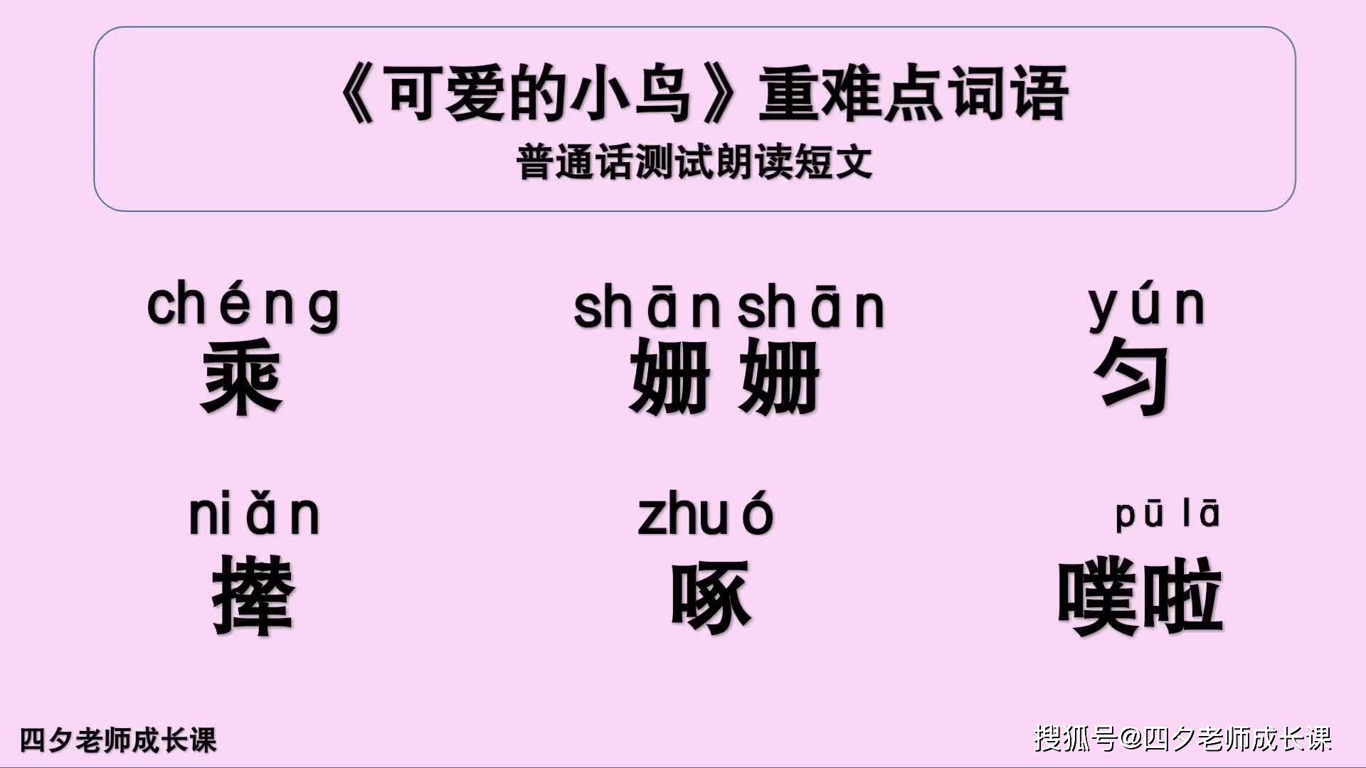 普通话学习可爱的小鸟重难点词语