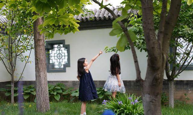 显得|赵子琪时尚又精致，两个女儿穿花裙甜美可爱，衣品不比妈妈差