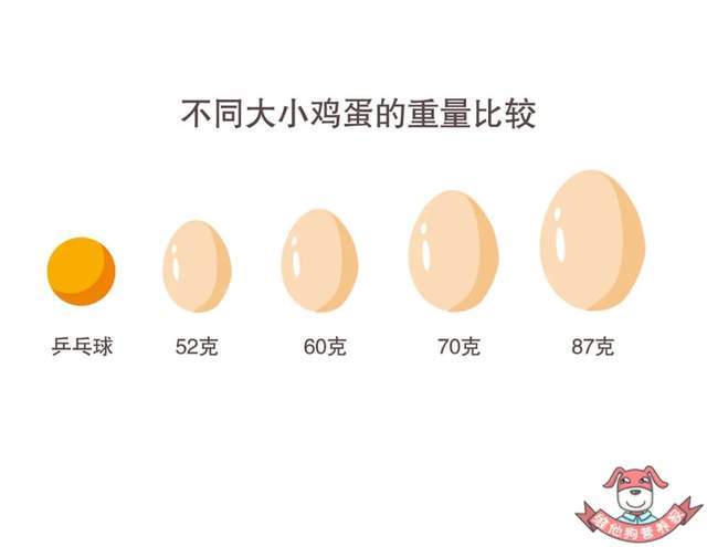 0e43470a72444dc883cc8e5e197ab5a2.jpeg