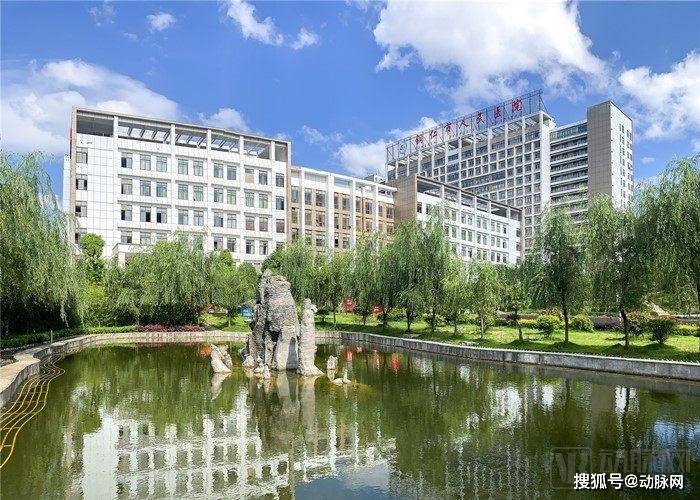 李谭伟|新政利好下，华卓科技如何构建政企合作的医疗健康信息化新模式？