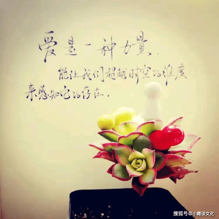 午夜發朋友圈的晚安說說,句句走心,讓你的內心變得安寧