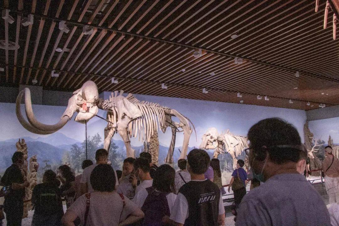 in|『缤纷夏日 七彩童年』吉利汽车无锡同元员工亲子拓展 in 南京！