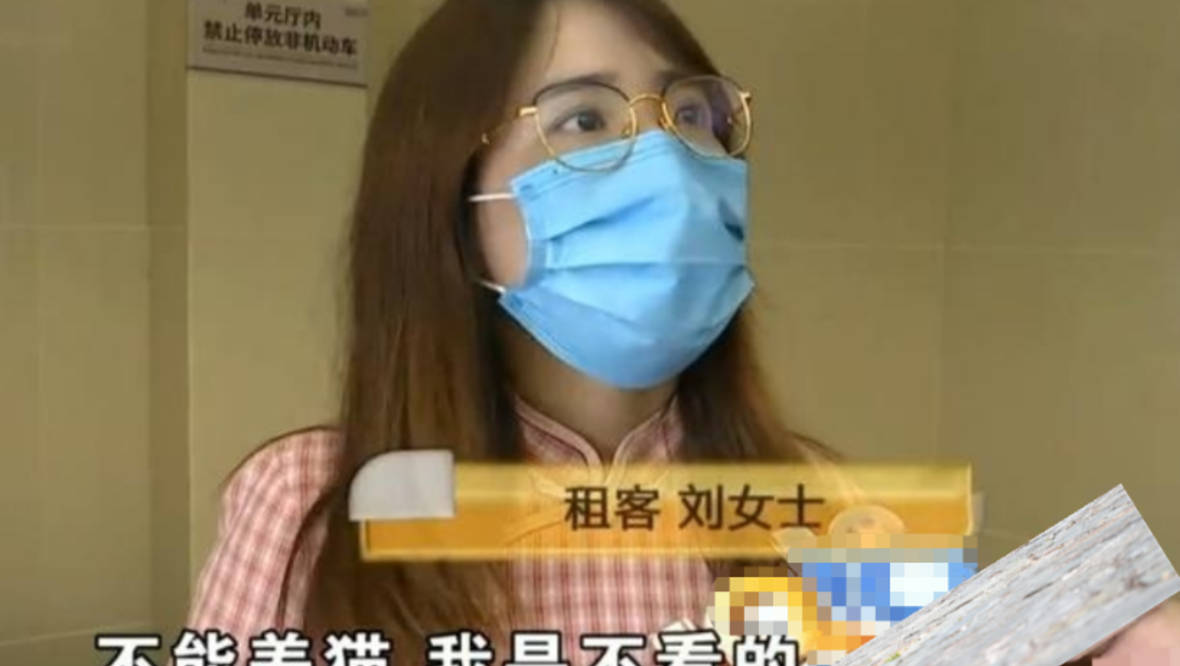 嘉兴一女子租房不到一个月被房东强制清退并拒*索赔房东：养了几十只猫