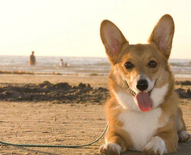 d8aed80135c74ea0a758b7f272bcc305.jpeg