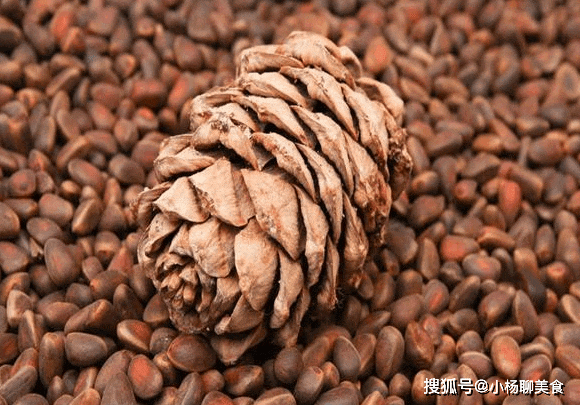 零花钱|小时候当零食吃,农民砍回去当柴烧,如今却卖40元一斤?