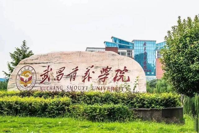 民办学校排行_中国民办高校排行榜20强,吉外第一,武昌首义学院第五