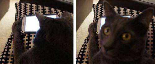 整张|“你是不是傻?愣着干啥,快帮忙啊!”