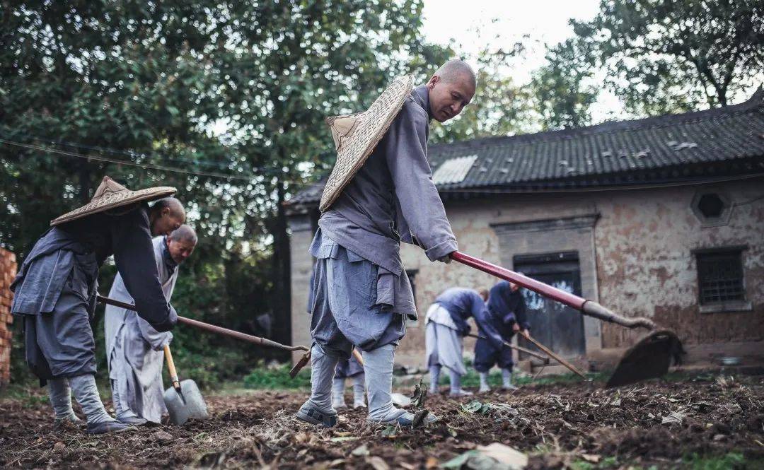 臺灣廣欽老和尚年輕時曾因寺院天天出坡勞動發脾氣