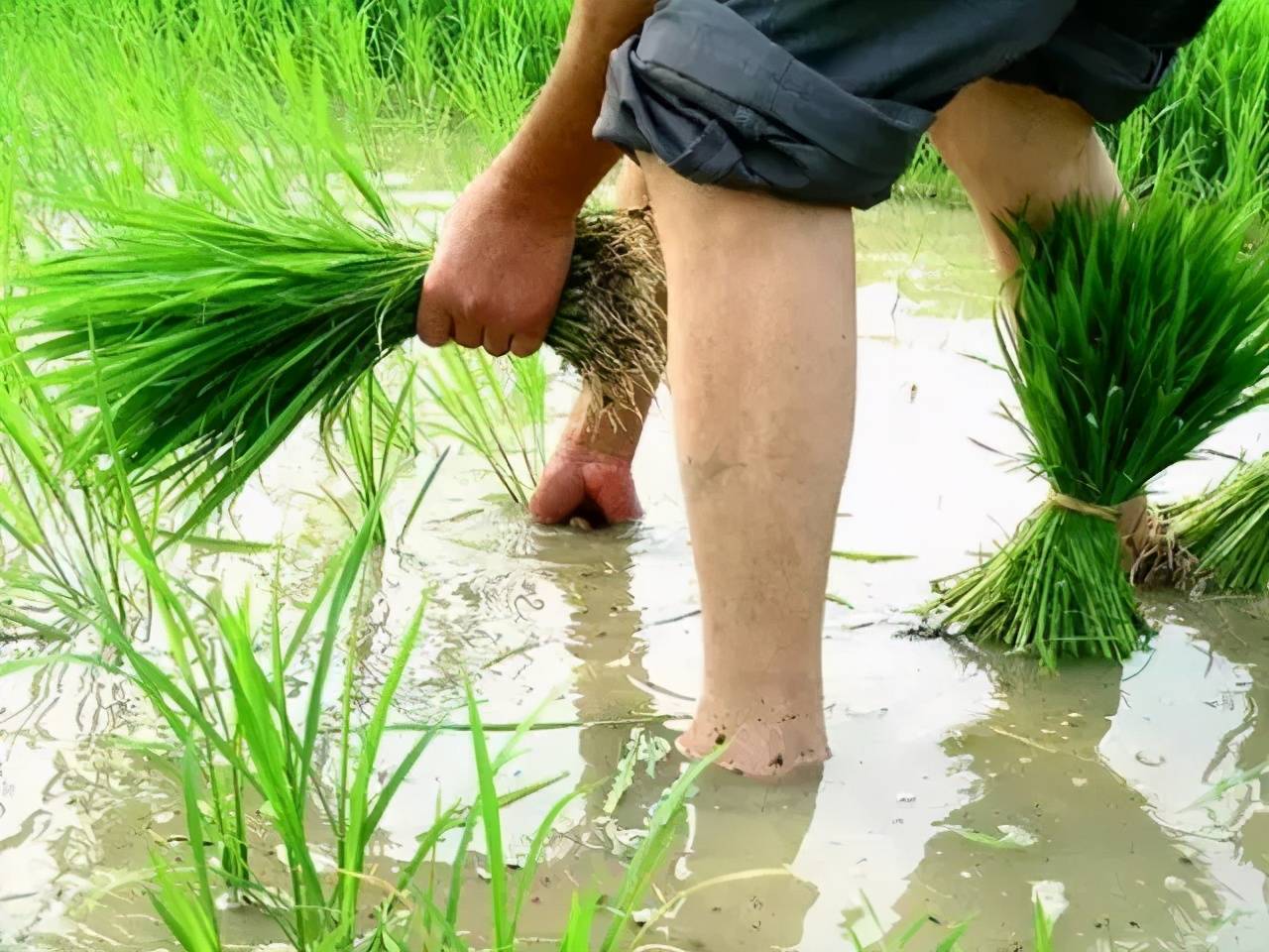 除了動物外,其實,人也是這樣,