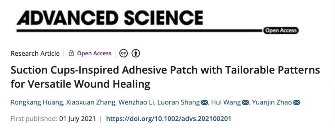 他们从海洋生物中获得灵感 探索慢性创面个体化治疗新方法 团队 他们从海洋生物中获得灵感 探索慢性创面个体化治疗新方法 团队