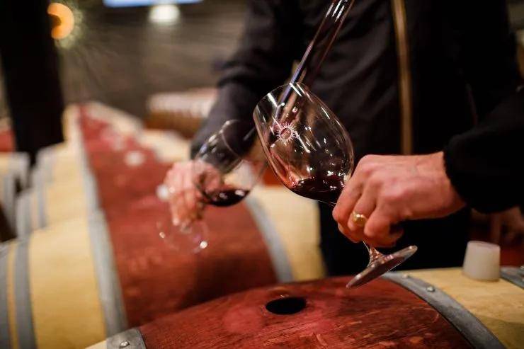 家族|托斯卡纳名庄大赏,安东尼世家携旗下索拉雅,与麓鹊联手来袭!