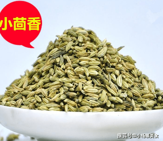 什么时间种小茴香 35c52a26e5524ca4ac2d2ae7eb6a95c3.png