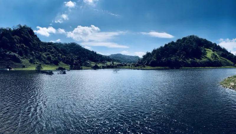 夏日来|夏日来关山草原，收获整个世界的温柔！