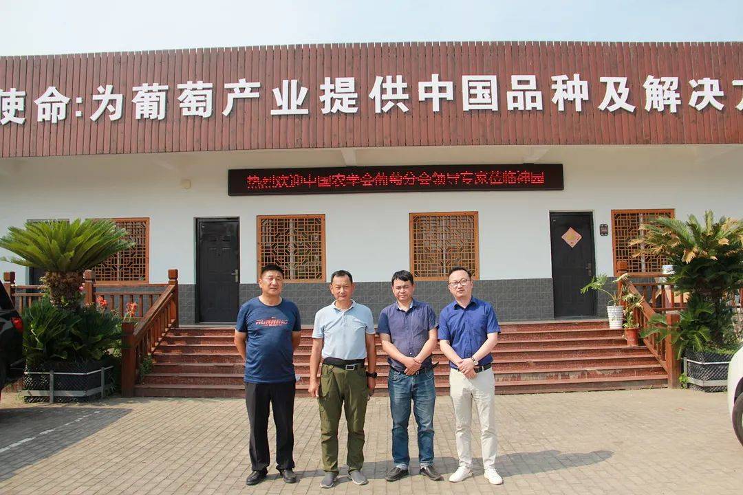 从消费端出发重振葡萄产业徐卫东一生只为一颗好葡萄