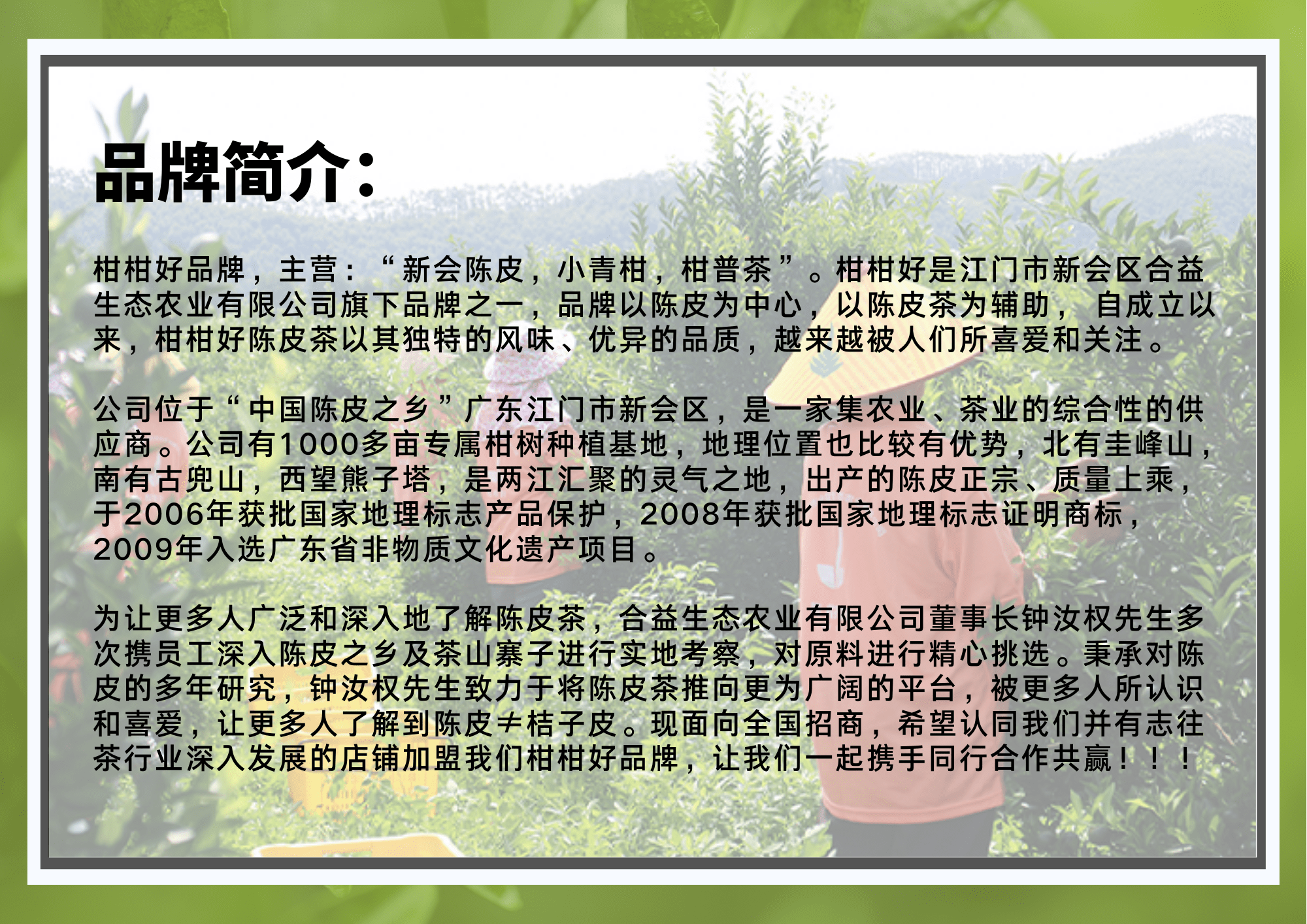 食谱|三伏天，陈皮食谱#02，“陈皮+胎菊”