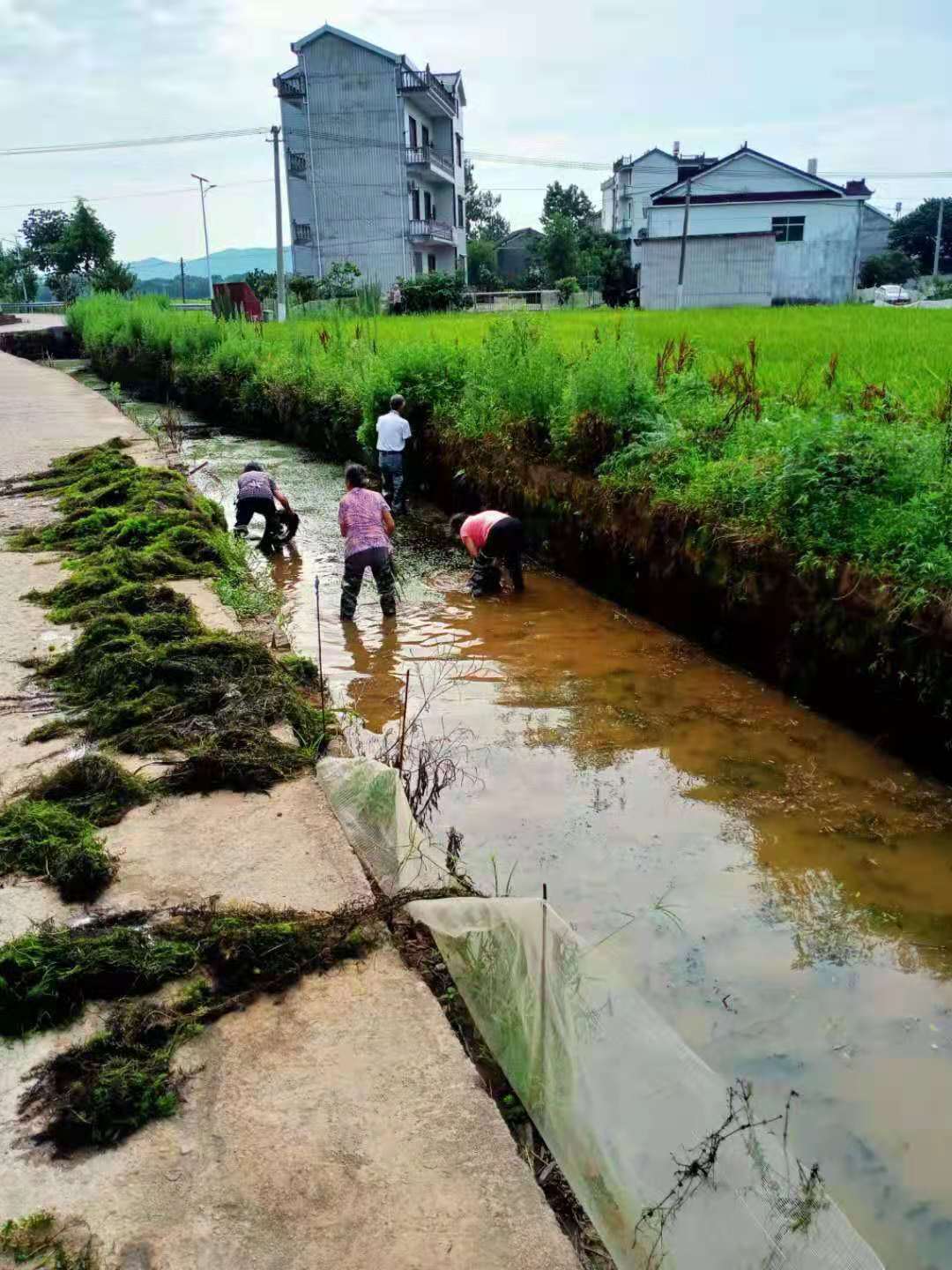 余江区锦江镇图片