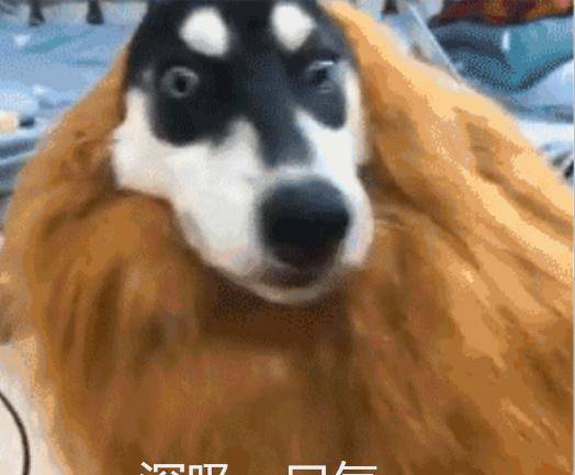 怎么才能变得霸气 a688a845cba244f5ad776331689d099b.jpeg