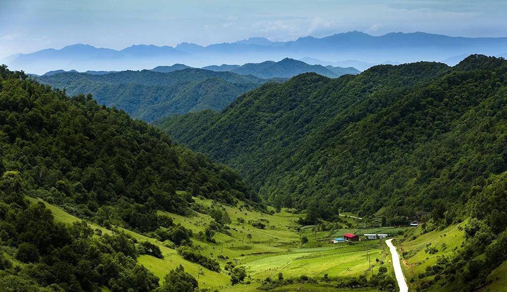 夏日来|夏日来关山草原，收获整个世界的温柔！