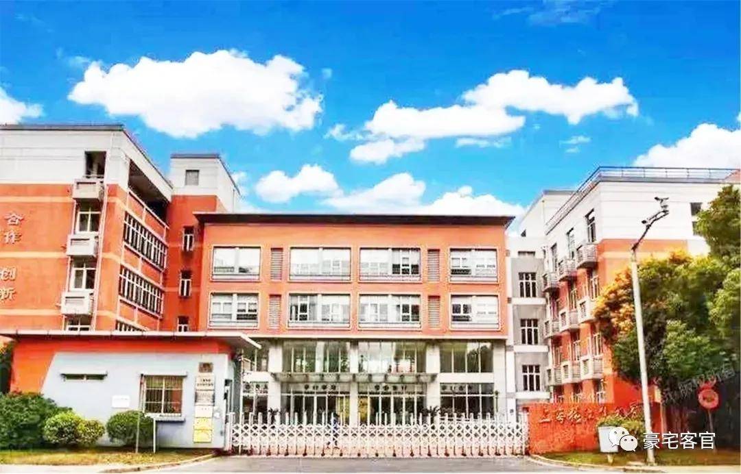 这是人才辈出的张江科学城,同时也是小卡片遍地的张江_国际