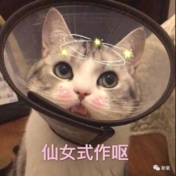 因为|程潇这算是背锅吗？全网嘲的背后竟然辱女又抄袭…