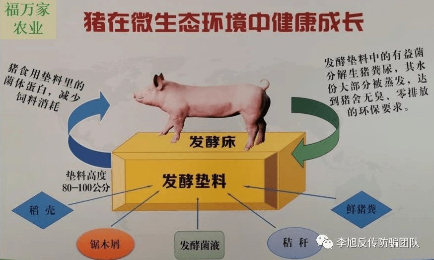 福万家合作社养猪疑涉嫌非法集资 200天利润
