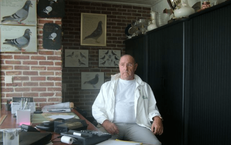 威廉·吉尔特?出身养鸽世家,从小酷爱养鸽_鸽子