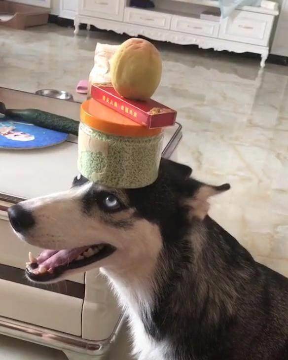 观点评论|不知道这6根铁链能否锁住这妖兽，网友：金刚伏魔锁妖大阵？