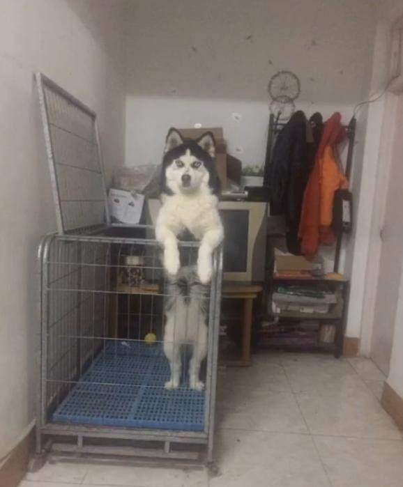 观点评论|不知道这6根铁链能否锁住这妖兽，网友：金刚伏魔锁妖大阵？