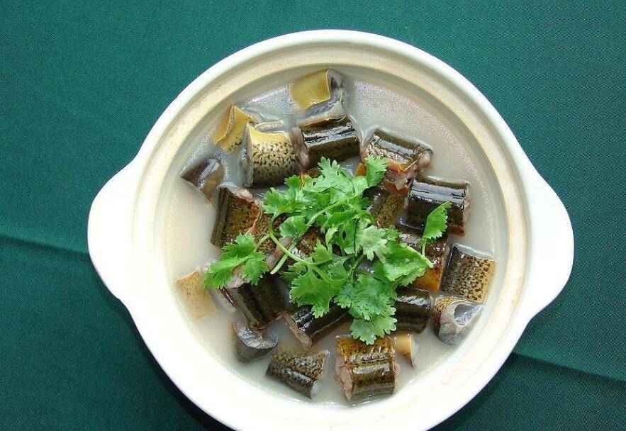 营养师:四种淡水鱼营养丰富,妈妈多做,孩子吃了长得高更聪明_黄鳝