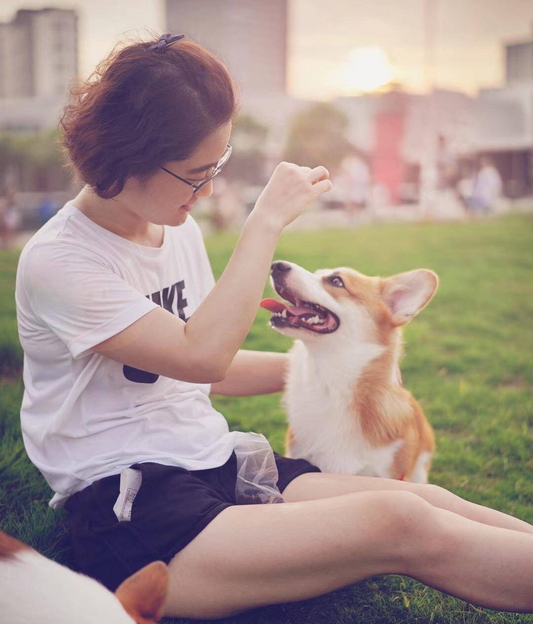 观点评论|ins风宠物写真，养这么多柯基，啥家庭啊家里有矿啊