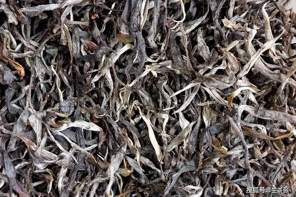 普洱茶如何鉴别品质？