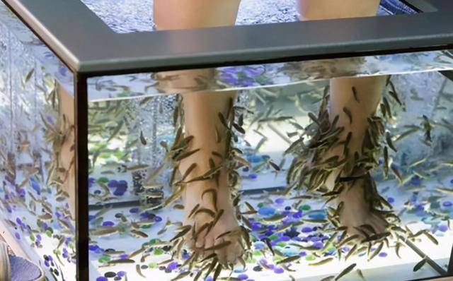 成本|年销量12亿包,成本仅4毛钱的小辣鱼,是用的足疗小鱼吗?