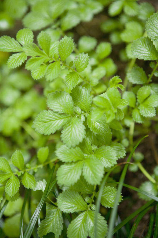 原创感悟感悟感悟