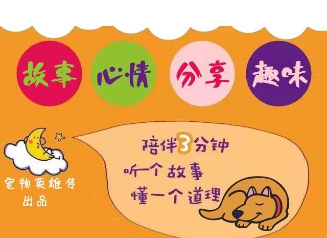 智商|想知道自己家狗狗智商到底有多高?用这几种方式就可以测试出来